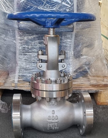 IVI Gate Valve